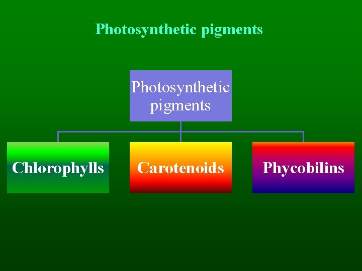 Photosynthetic pigments Chlorophylls Carotenoids Phycobilins 
