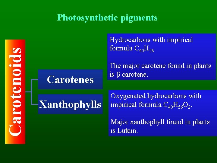 Carotenoids Photosynthetic pigments Hydrocarbons with impirical formula C 40 H 56 Carotenes Xanthophylls The