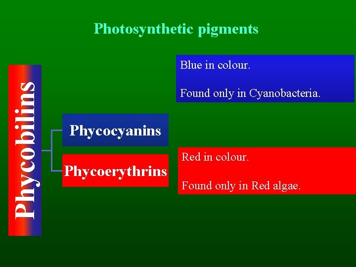 Photosynthetic pigments Phycobilins Blue in colour. Found only in Cyanobacteria. Phycocyanins Phycoerythrins Red in