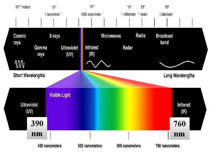 390 nm 760 nm 