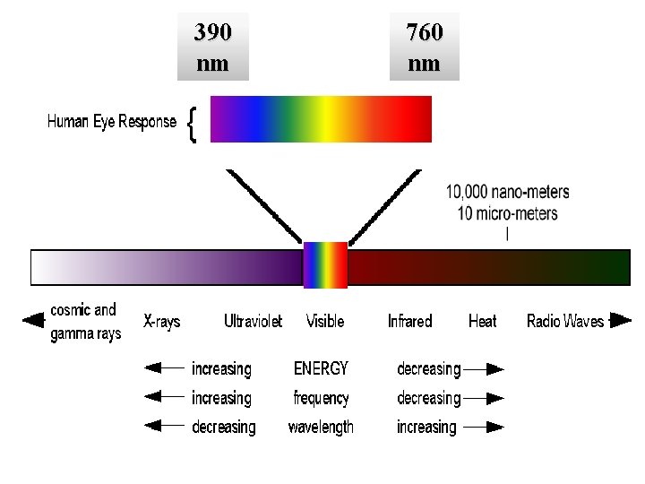 390 nm 760 nm 