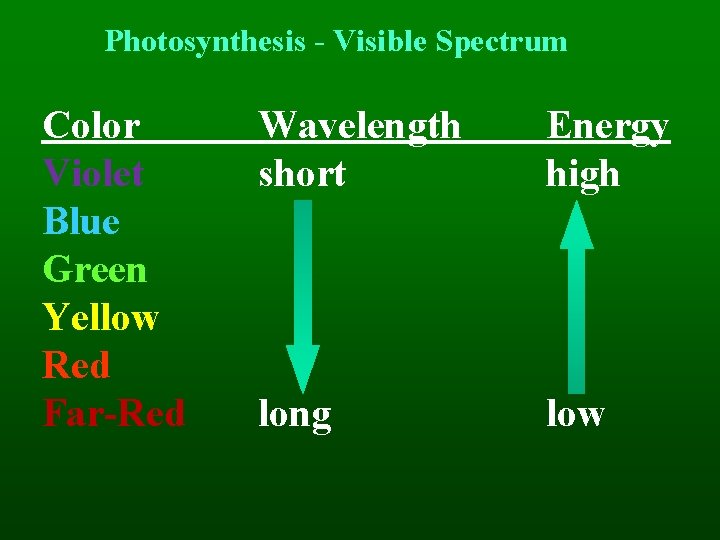 Photosynthesis - Visible Spectrum Color Violet Blue Green Yellow Red Far-Red Wavelength short Energy