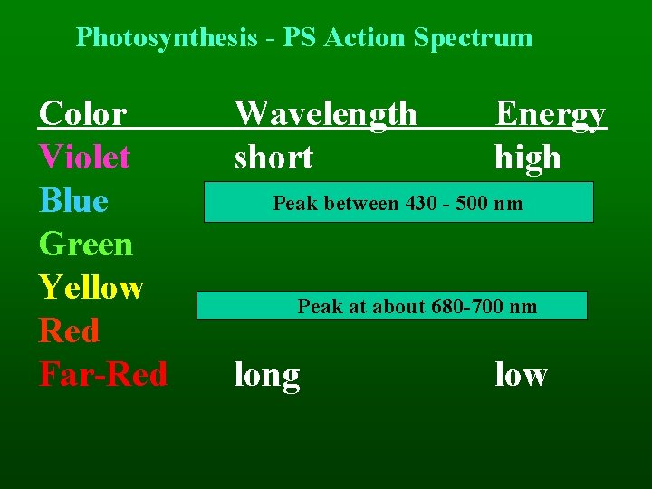 Photosynthesis - PS Action Spectrum Color Violet Blue Green Yellow Red Far-Red Wavelength short