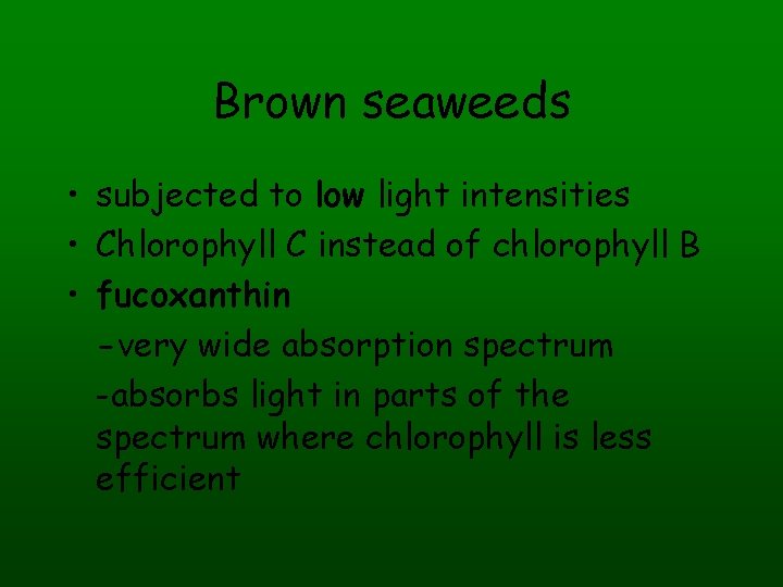 Brown seaweeds • subjected to low light intensities • Chlorophyll C instead of chlorophyll