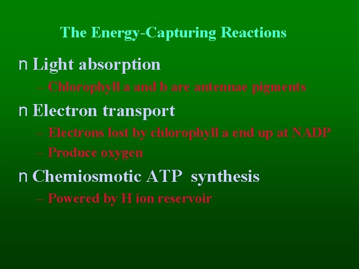 The Energy-Capturing Reactions n Light absorption – Chlorophyll a and b are antennae pigments