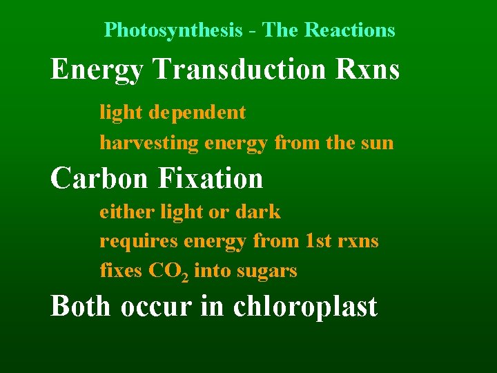 Photosynthesis - The Reactions Energy Transduction Rxns light dependent harvesting energy from the sun