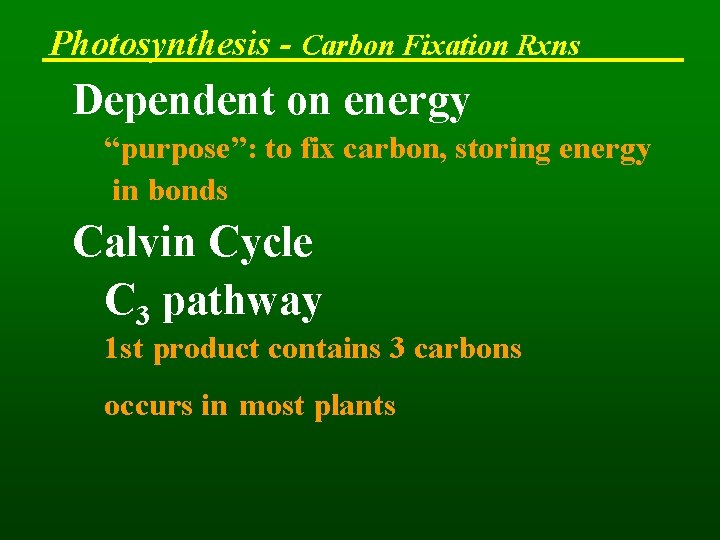 Photosynthesis - Carbon Fixation Rxns Dependent on energy “purpose”: to fix carbon, storing energy