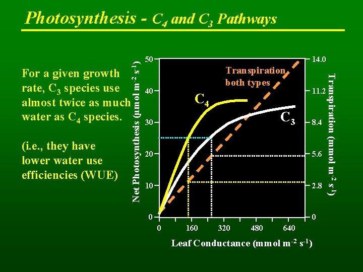 For a given growth rate, C 3 species use almost twice as much water