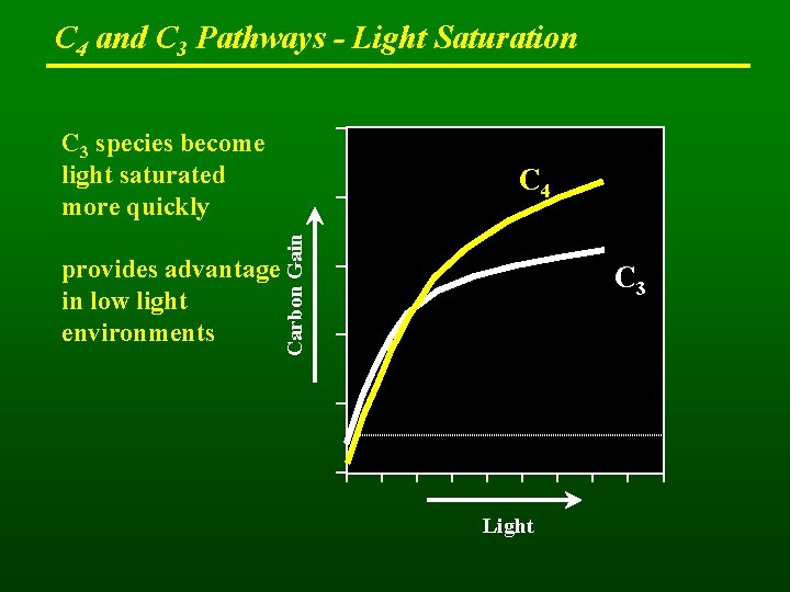 C 4 and C 3 Pathways - Light Saturation C 3 species become light