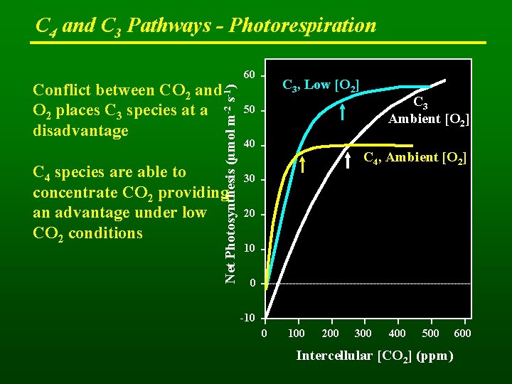 C 4 and C 3 Pathways - Photorespiration Net Photosynthesis (µmol m-2 s-1) Conflict