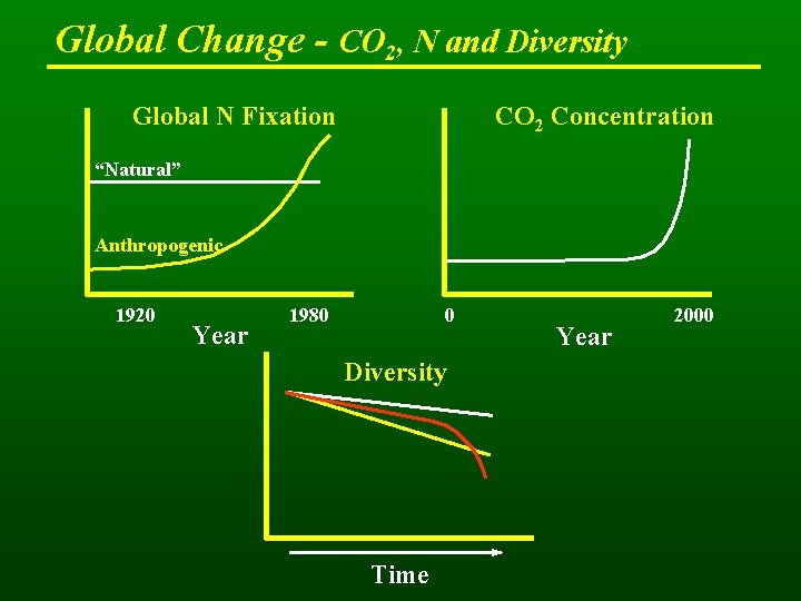 Global Change - CO 2, N and Diversity Global N Fixation CO 2 Concentration