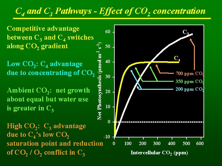 C 4 and C 3 Pathways - Effect of CO 2 concentration Low CO