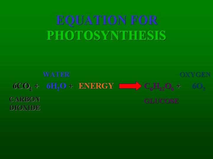 EQUATION FOR PHOTOSYNTHESIS WATER 6 CO 2 + 6 H 2 O + ENERGY