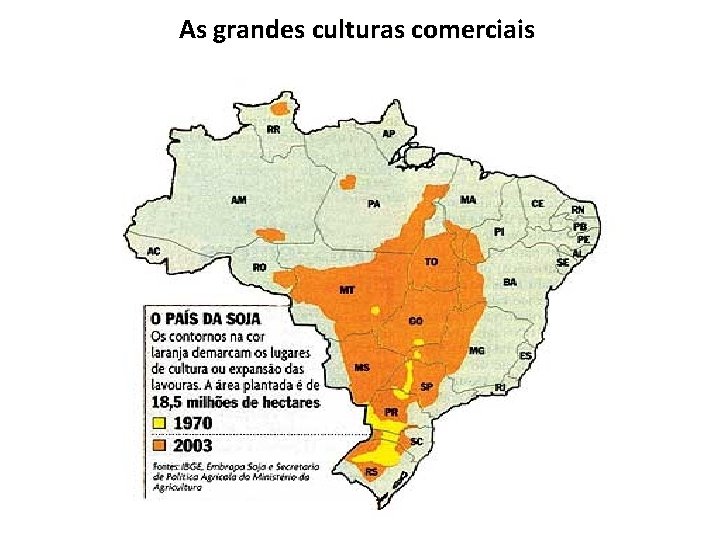 As grandes culturas comerciais 