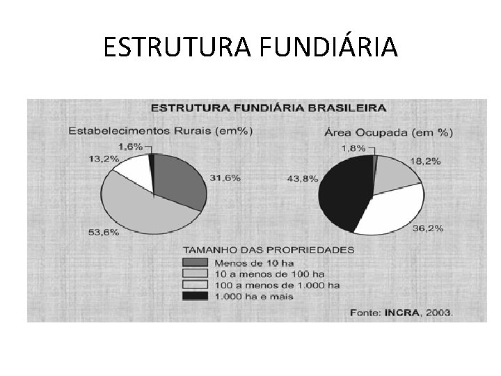 ESTRUTURA FUNDIÁRIA 