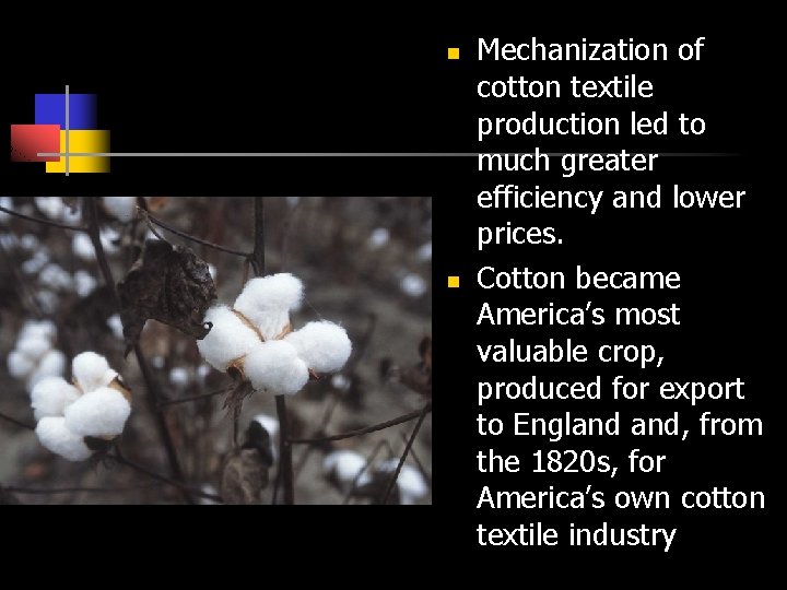 n n Mechanization of cotton textile production led to much greater efficiency and lower
