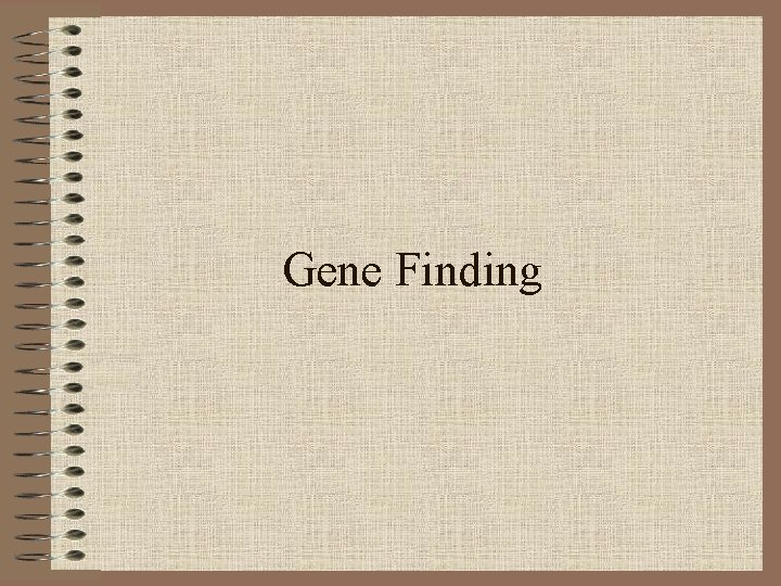 Gene Finding 