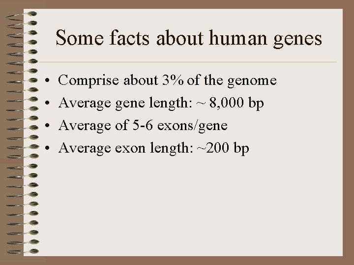 Some facts about human genes • • Comprise about 3% of the genome Average
