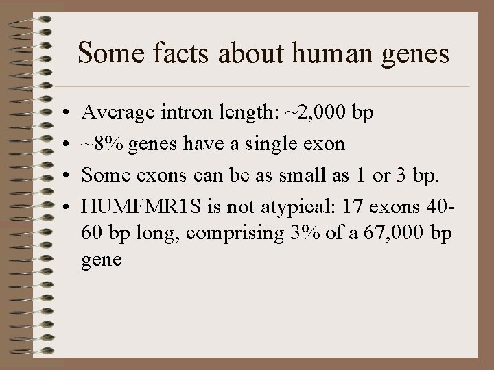 Some facts about human genes • • Average intron length: ~2, 000 bp ~8%