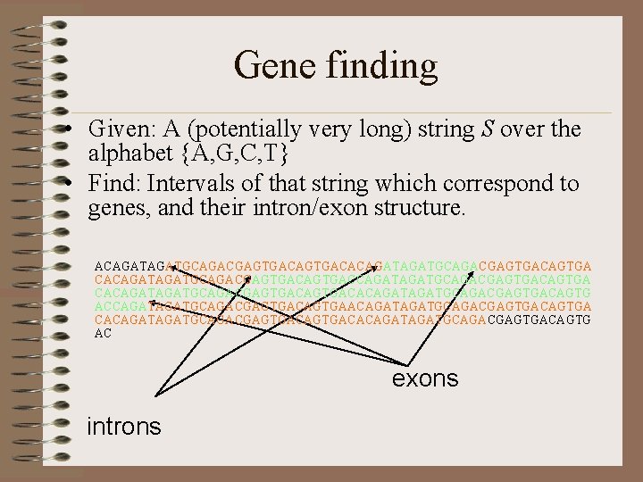 Gene finding • Given: A (potentially very long) string S over the alphabet {A,
