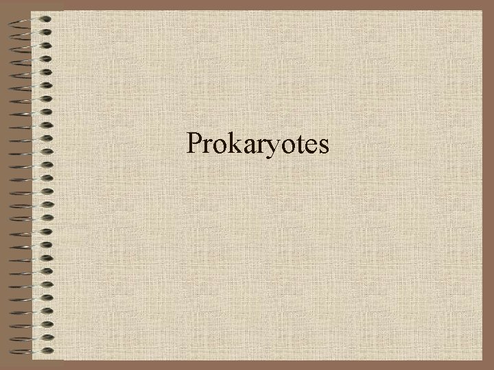 Prokaryotes 