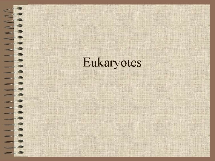 Eukaryotes 