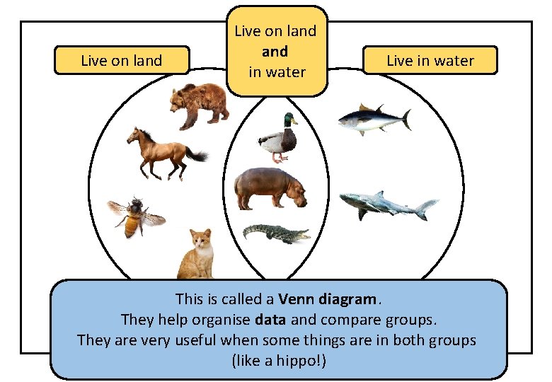 Live on land and in water Live in water This is called a Venn