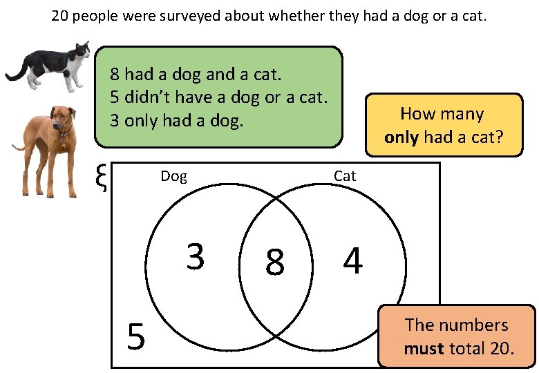 20 people were surveyed about whether they had a dog or a cat. 8