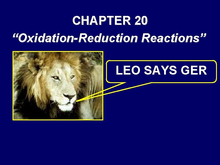 CHAPTER 20 “Oxidation-Reduction Reactions” LEO SAYS GER 