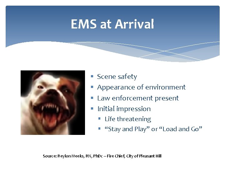 EMS at Arrival § § Scene safety Appearance of environment Law enforcement present Initial