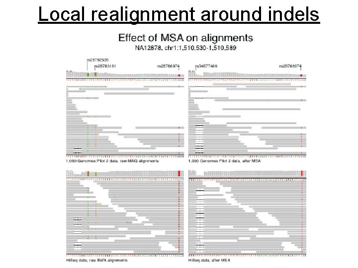 Local realignment around indels 