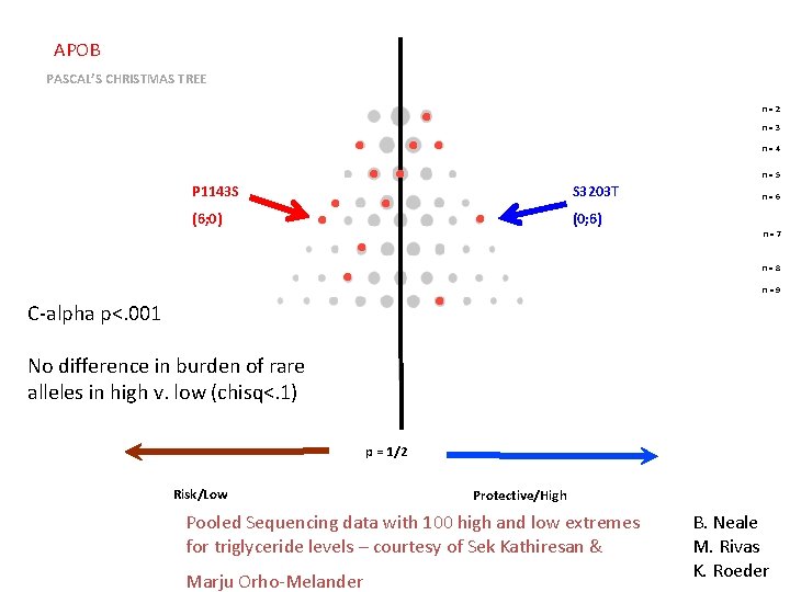 APOB PASCAL’S CHRISTMAS TREE n=2 n=3 n=4 n=5 P 1143 S S 3203 T