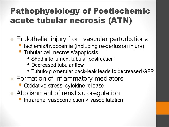 Pathophysiology of Postischemic acute tubular necrosis (ATN) l Endothelial injury from vascular perturbations l
