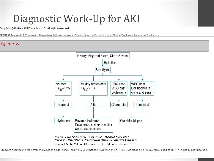 Diagnostic Work-Up for AKI 