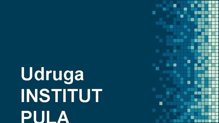 Udruga INSTITUT 