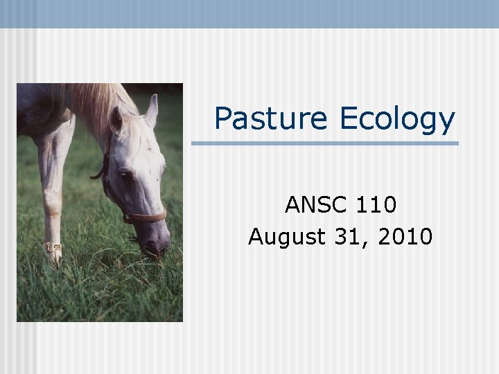 Pasture Ecology ANSC 110 August 31, 2010 