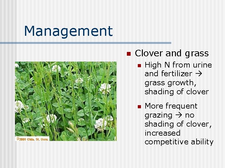 Management n Clover and grass n High N from urine and fertilizer grass growth,