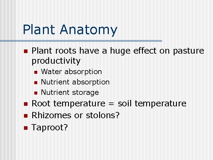 Plant Anatomy n Plant roots have a huge effect on pasture productivity n n