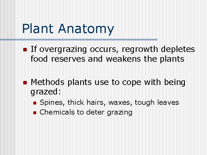 Plant Anatomy n If overgrazing occurs, regrowth depletes food reserves and weakens the plants