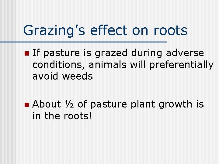 Grazing’s effect on roots n If pasture is grazed during adverse conditions, animals will