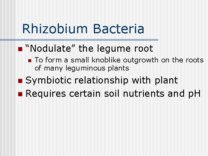 Rhizobium Bacteria n “Nodulate” the legume root n To form a small knoblike outgrowth