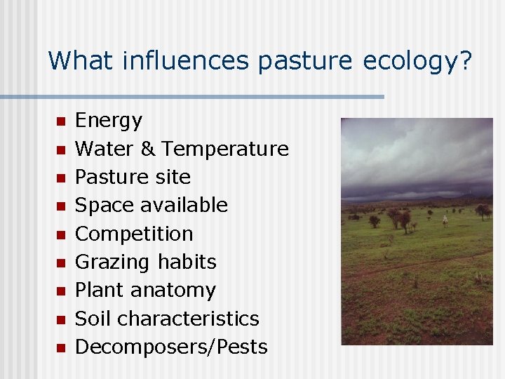 What influences pasture ecology? n n n n n Energy Water & Temperature Pasture