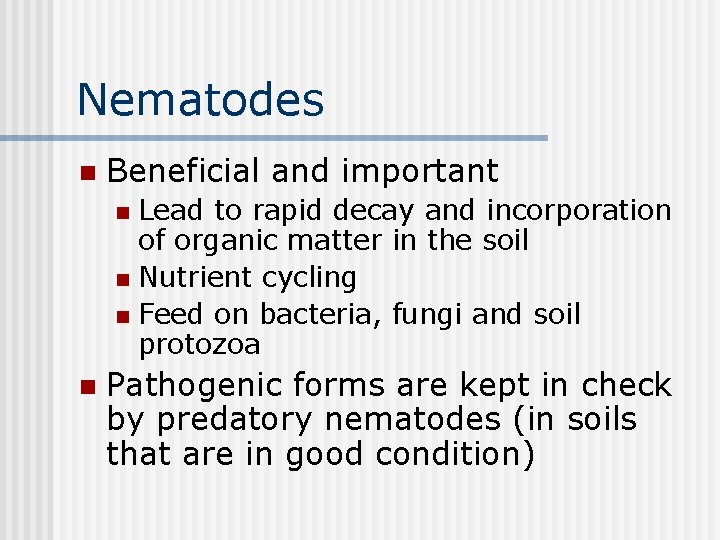 Nematodes n Beneficial and important Lead to rapid decay and incorporation of organic matter