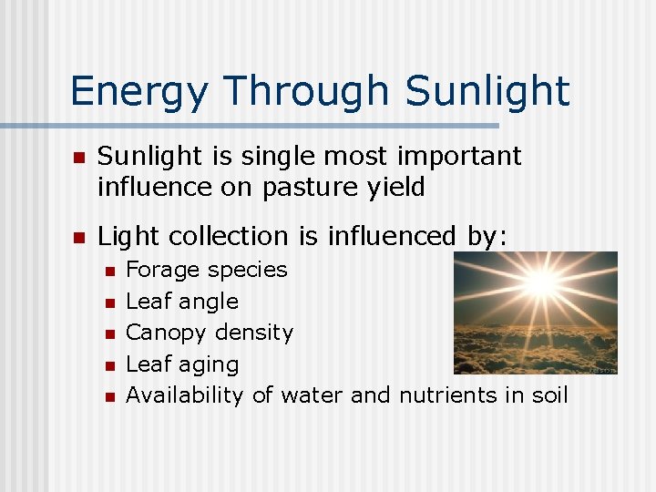 Energy Through Sunlight n Sunlight is single most important influence on pasture yield n