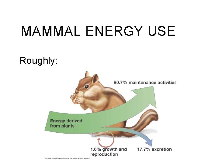 MAMMAL ENERGY USE Roughly: f 