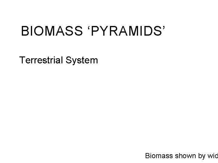 BIOMASS ‘PYRAMIDS’ Terrestrial System Biomass shown by wid 