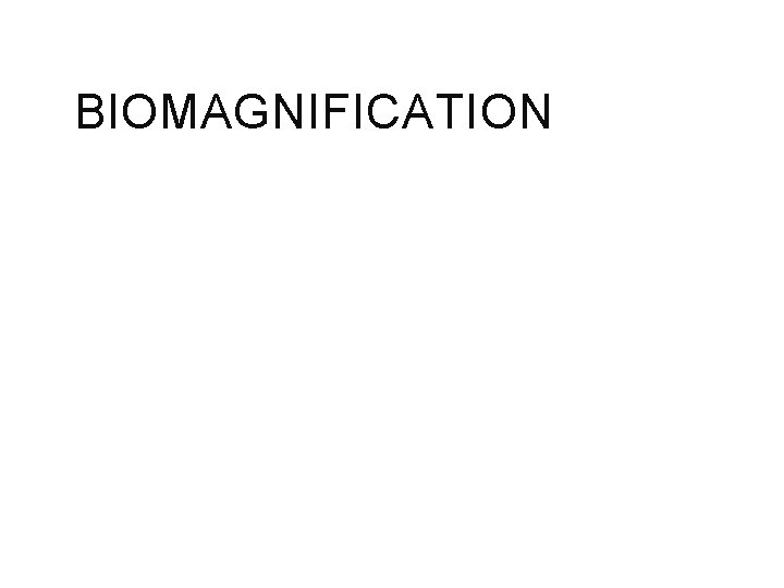 BIOMAGNIFICATION 