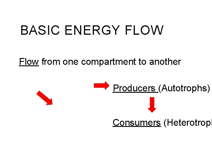 BASIC ENERGY FLOW Flow from one compartment to another Producers (Autotrophs) Consumers (Heterotroph 