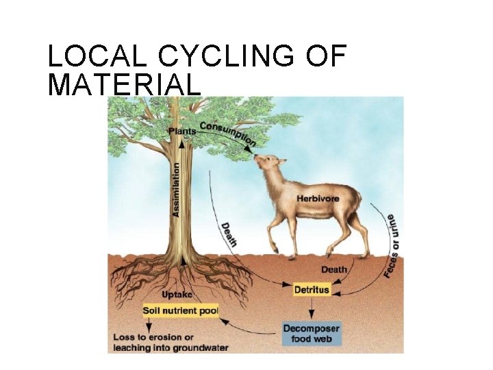 LOCAL CYCLING OF MATERIAL 