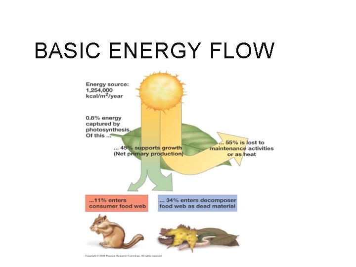 BASIC ENERGY FLOW 